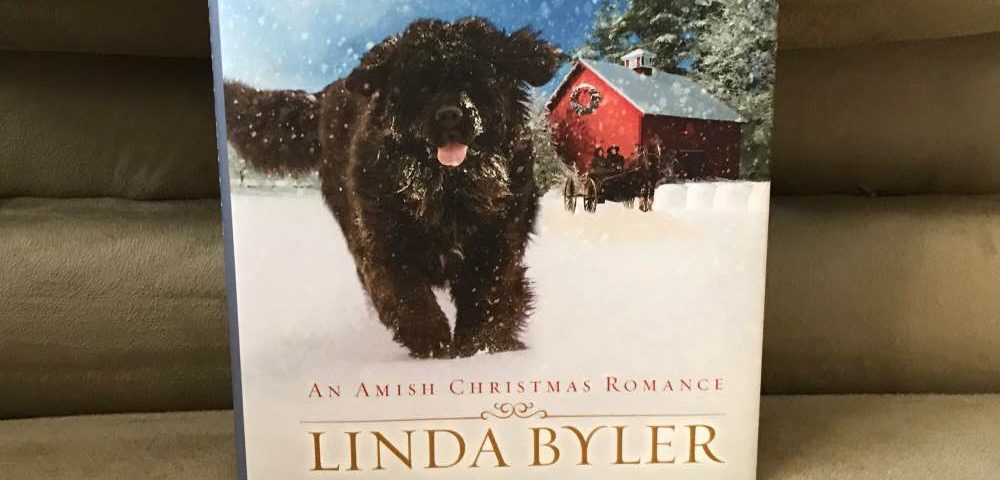 Linda Byler New Christmas Books 2021