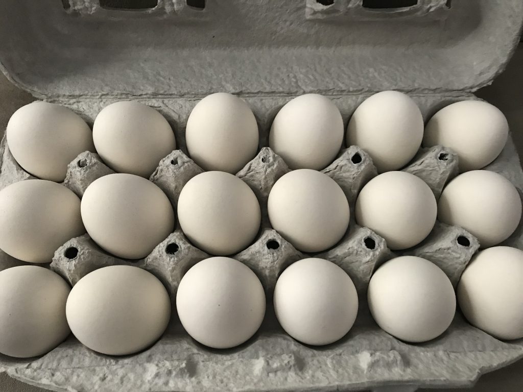 Egg Nots 
