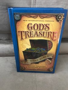 God's Treasure Holy Bible