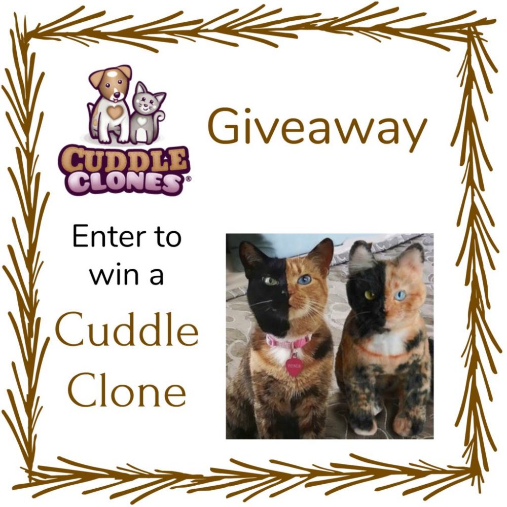 Giveaway: Cuddle Clones