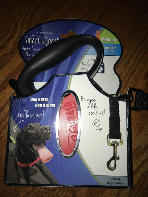 smart leash