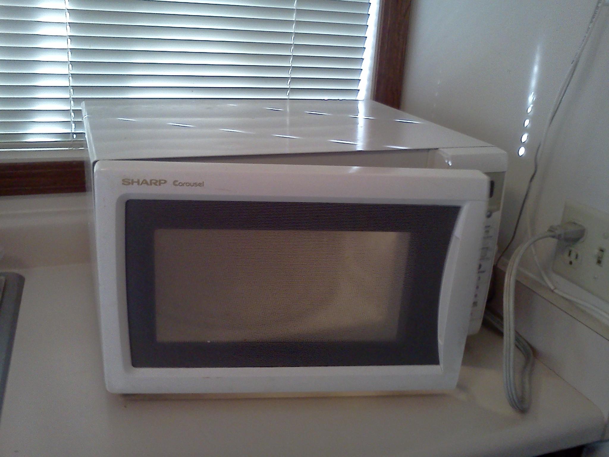 Microwave Oven Pros and Cons